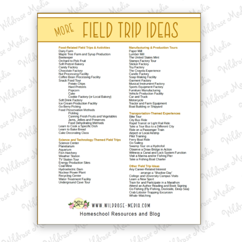 a list of fun field trip activities